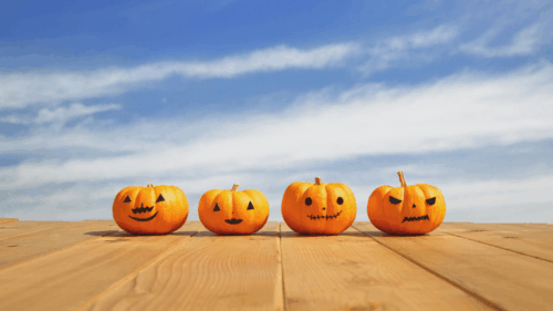 ハロウィーン かぼちゃ 絵本