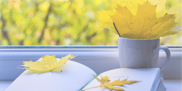 小学生 低学年 おすすめ 絵本 11月