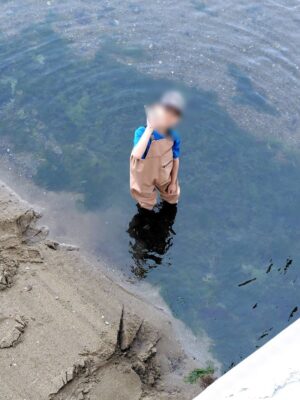 磯 海 ヒトデ ウニ 絵本 胴長 つなぎ
